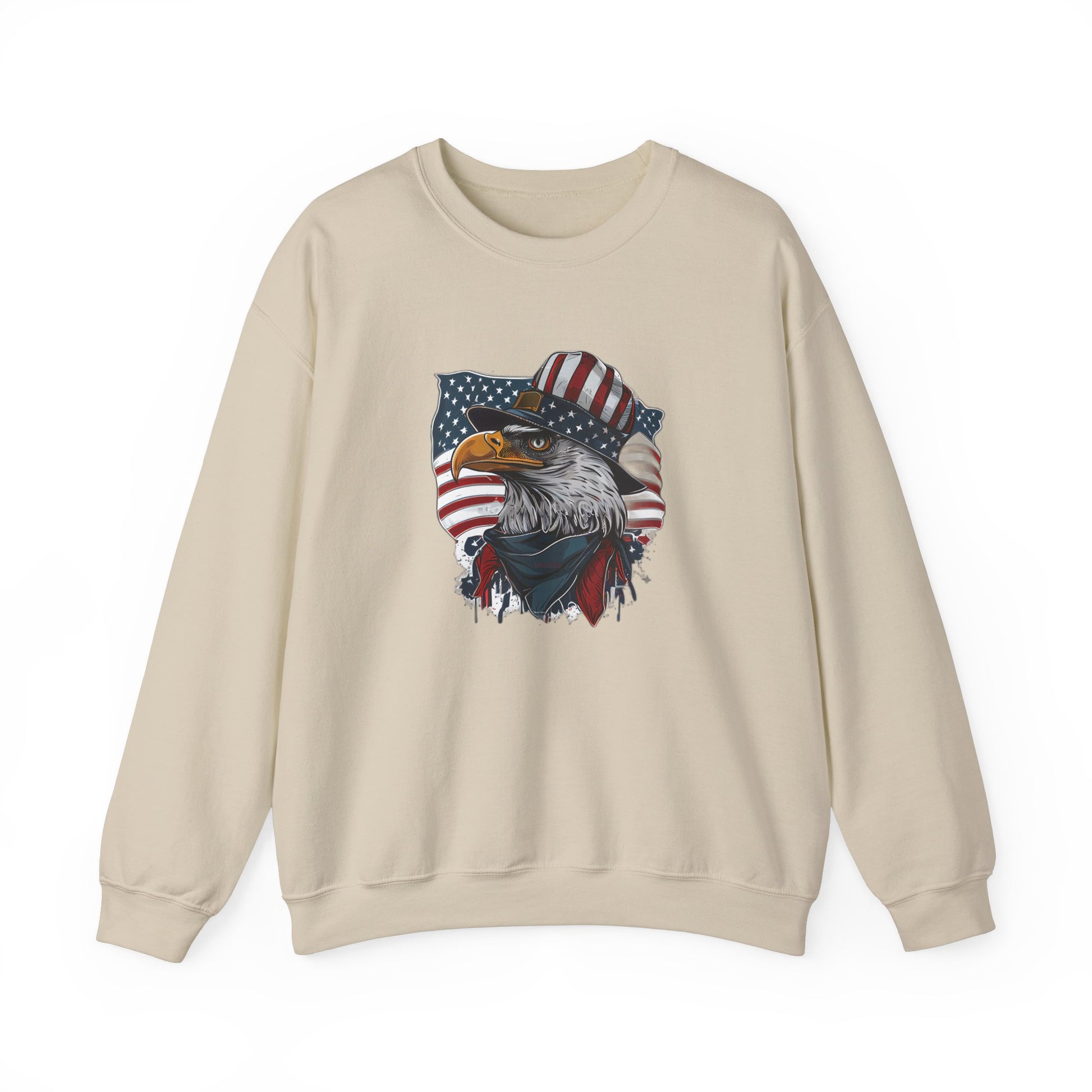 American Eagle graphic sweatshirt ideal for Independence Day celebrations
