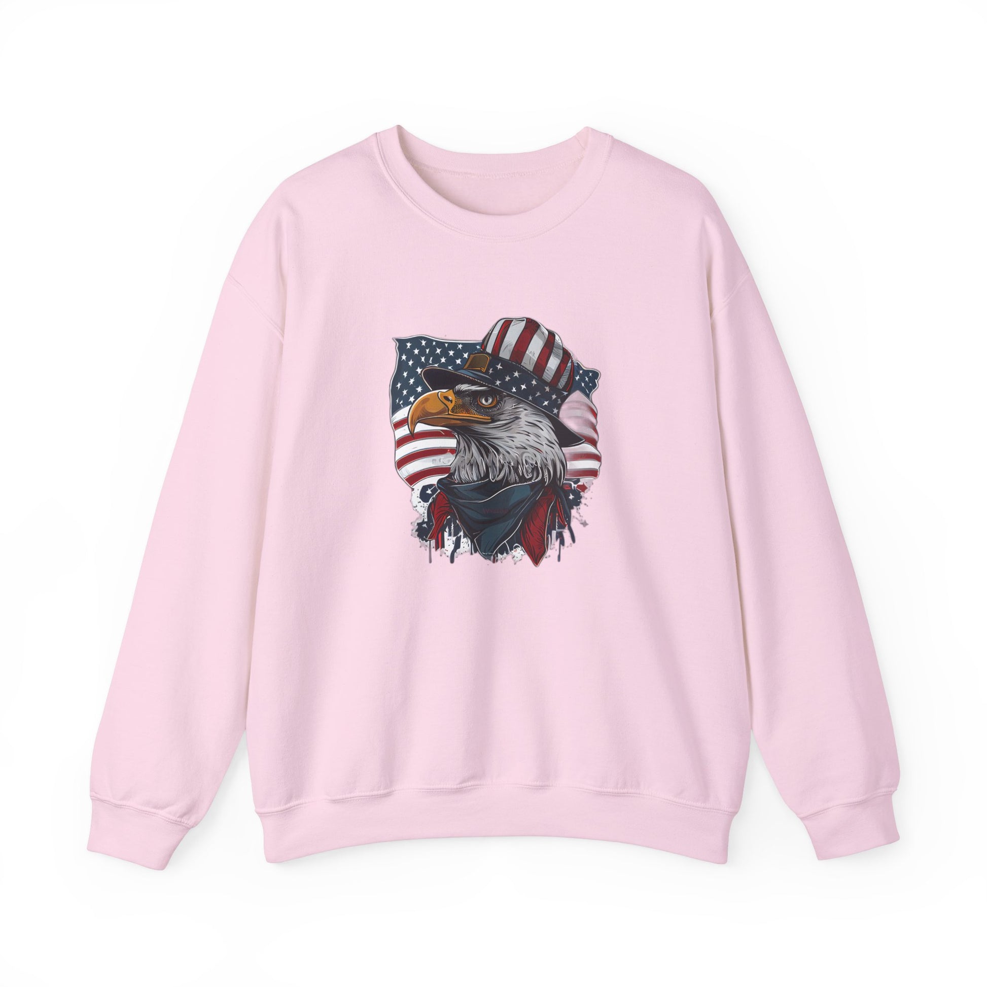 American Eagle sweatshirt showcasing USA